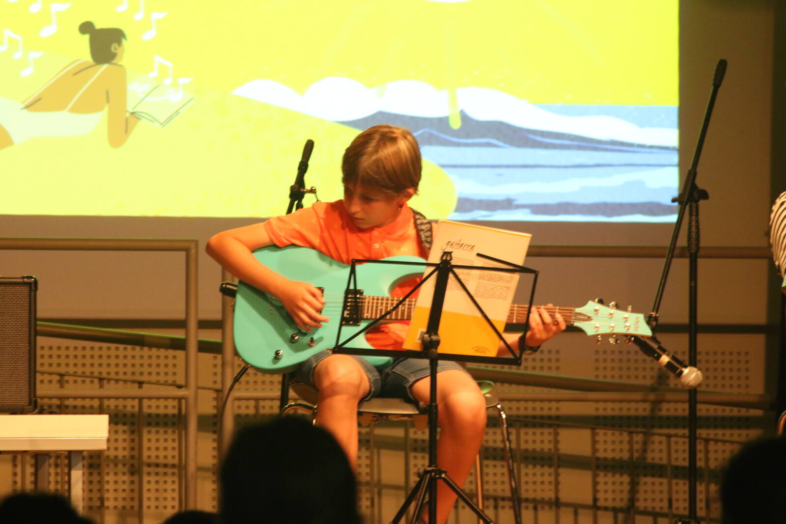 Imatge del concert