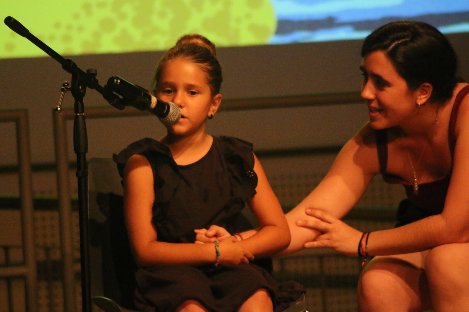 Imatge del concert
