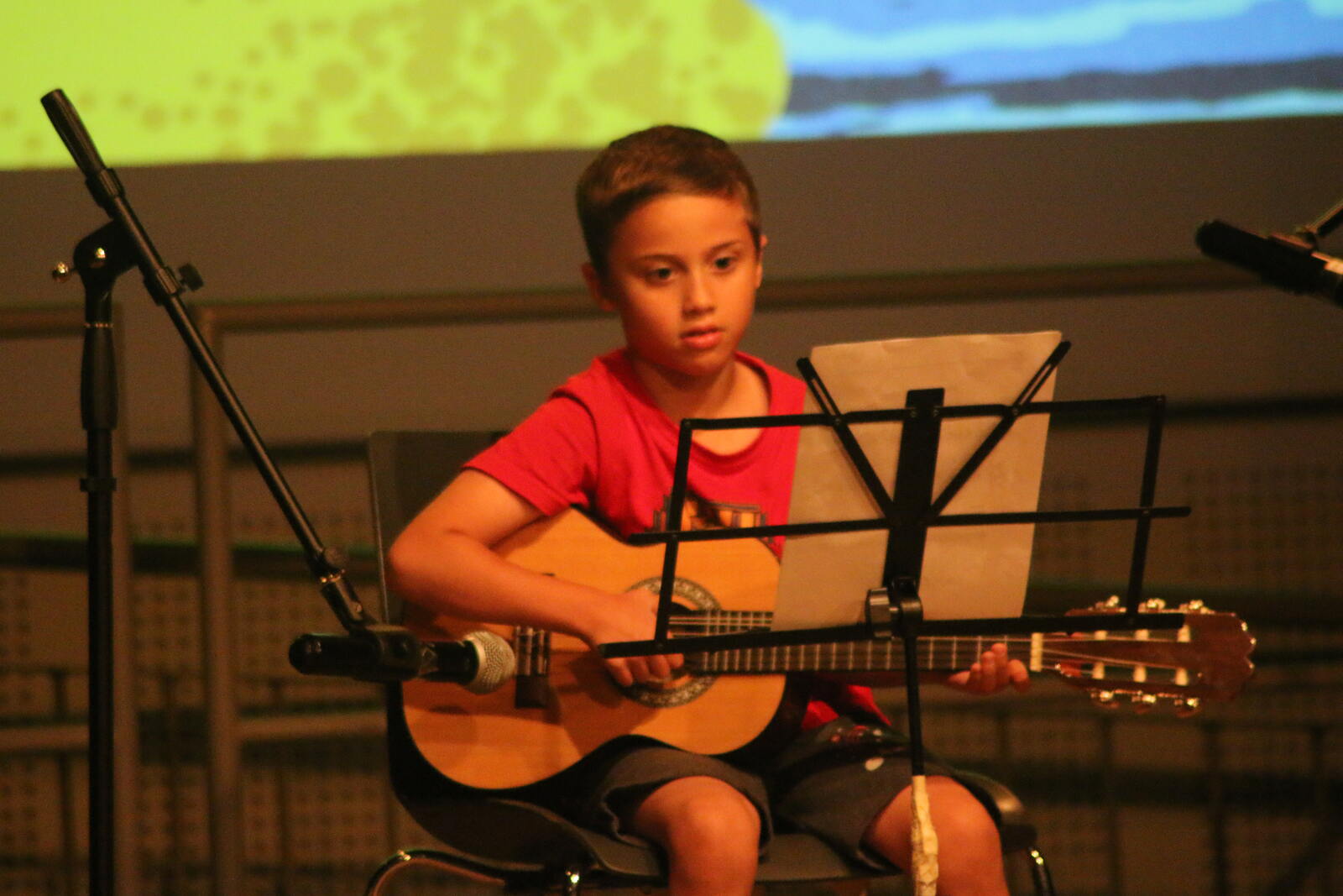 Imatge del concert