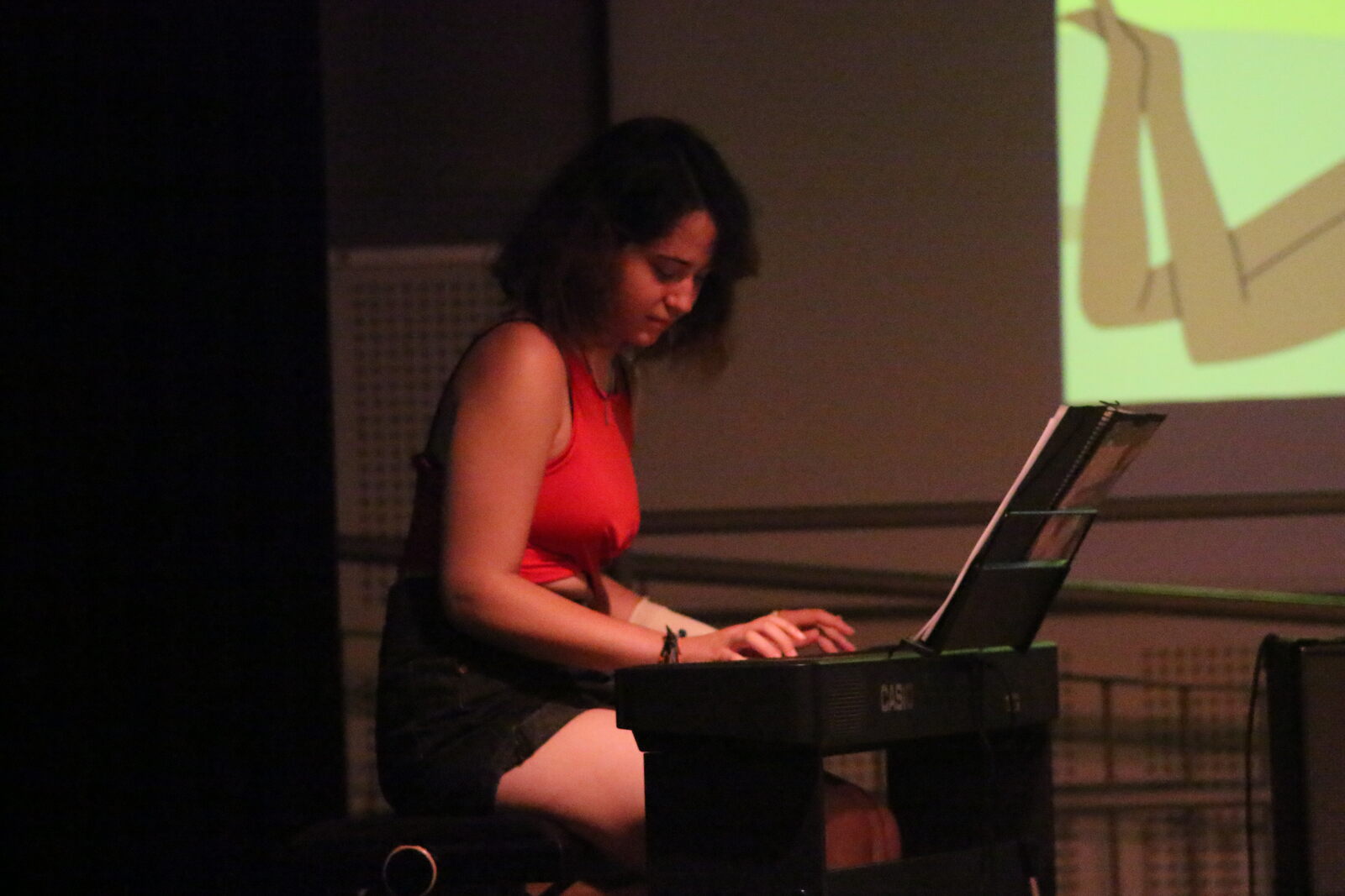 Imatge del concert