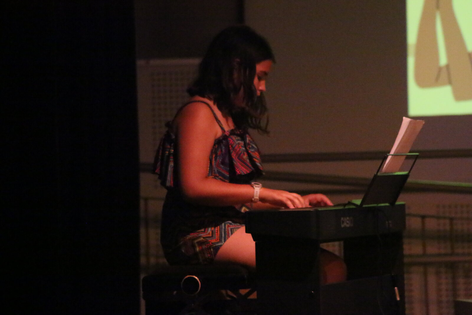 Imatge del concert
