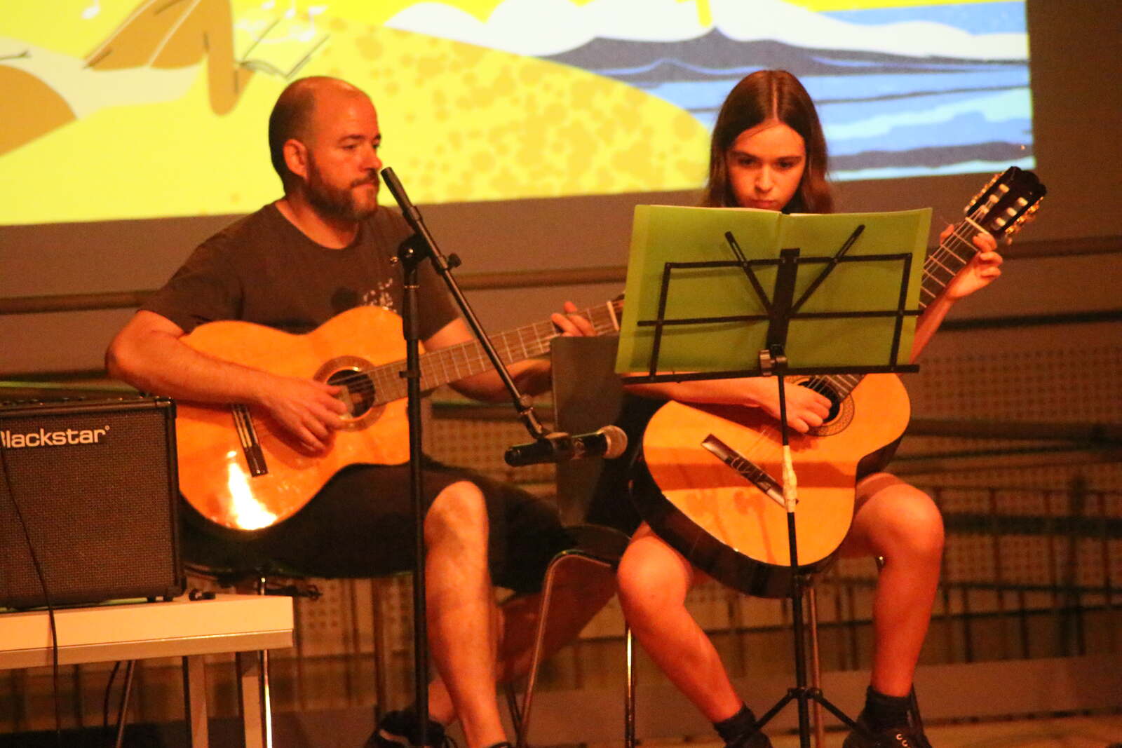 Imatge del concert