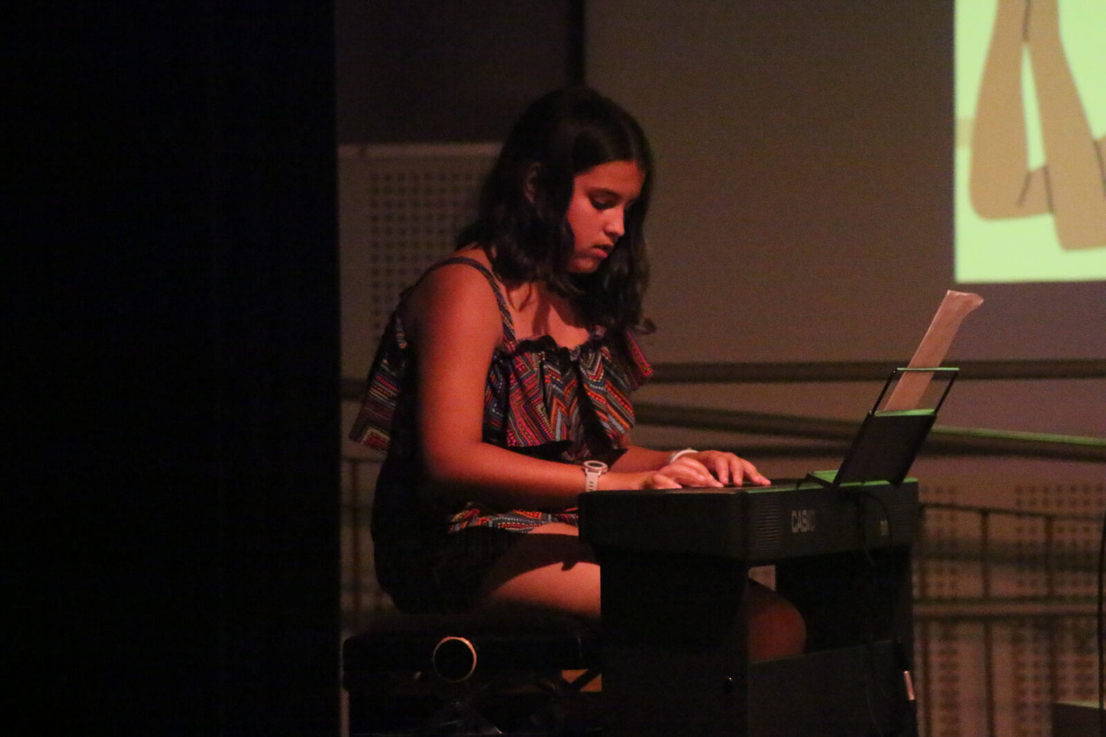 Imatge del concert