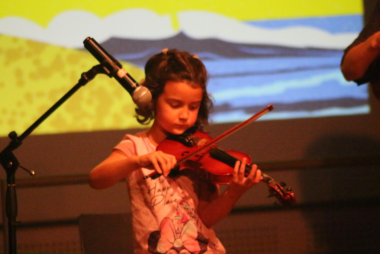 Imatge del concert