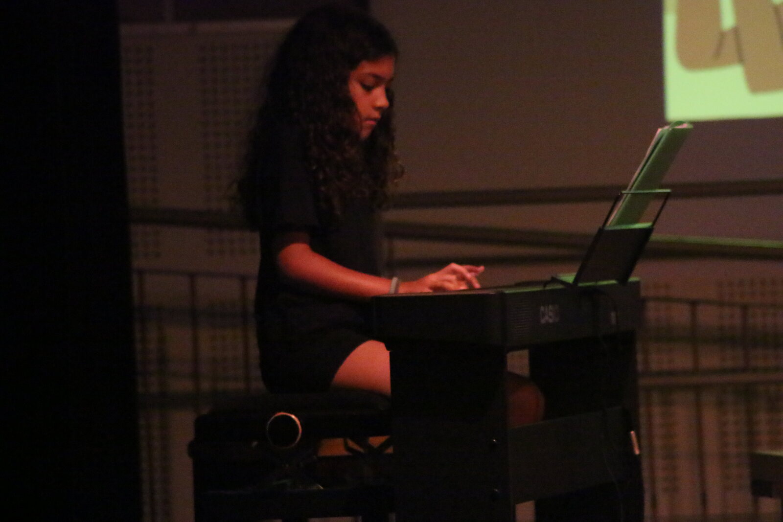 Imatge del concert