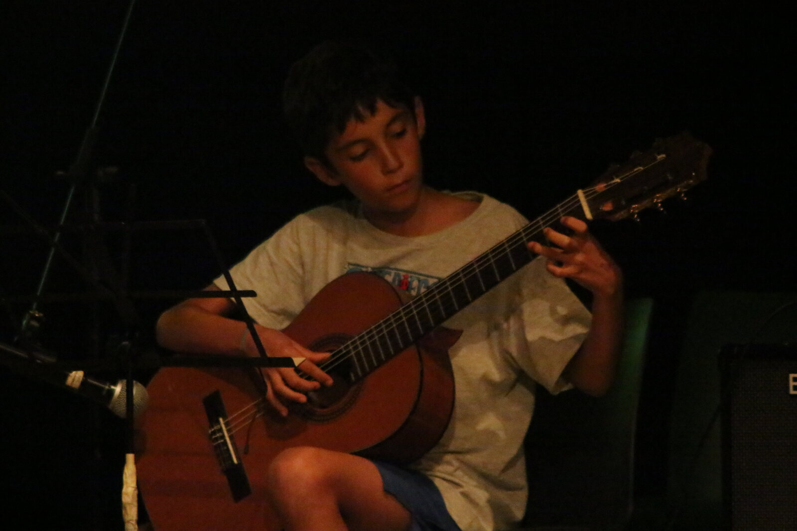 Imatge del concert