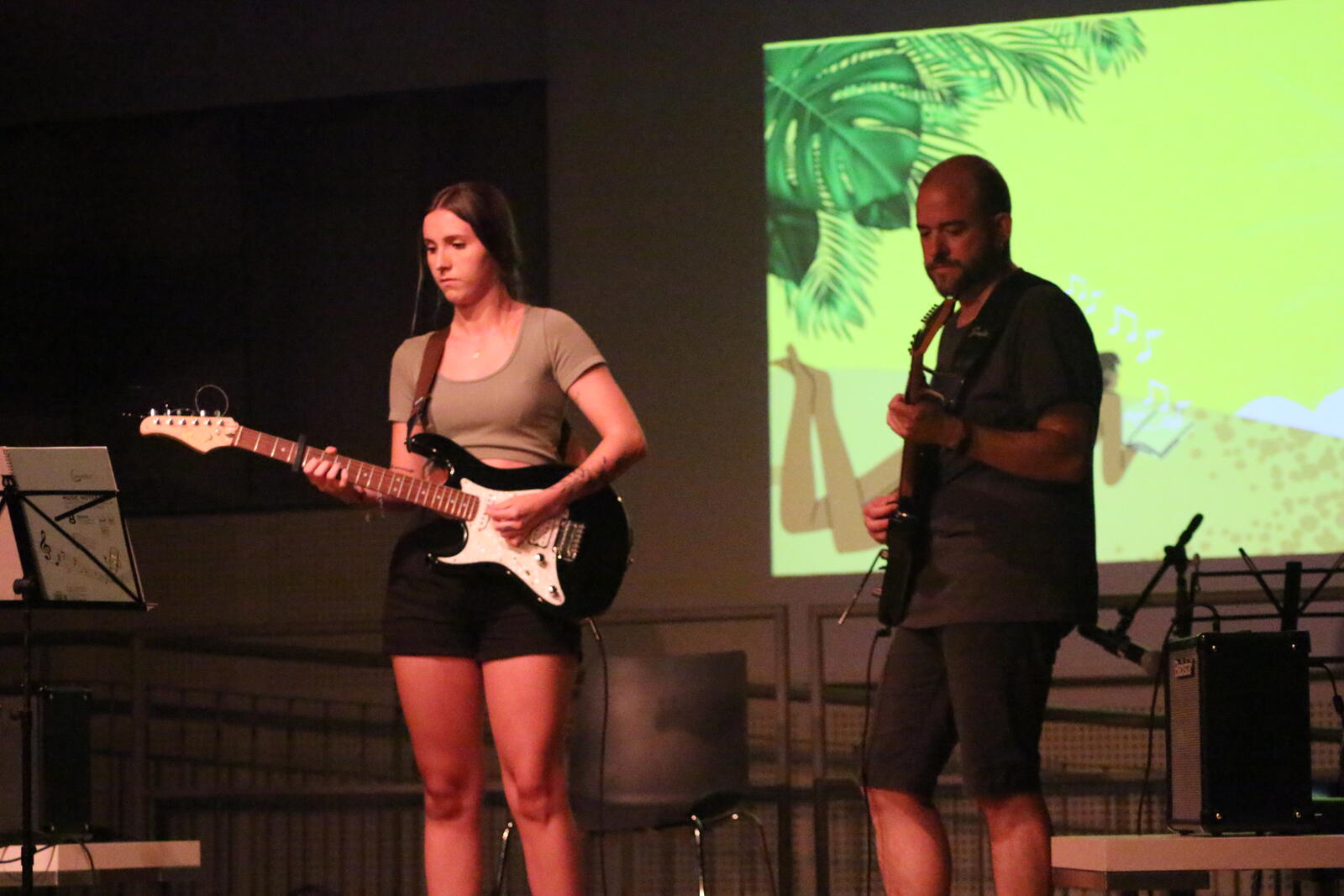 Imatge del concert