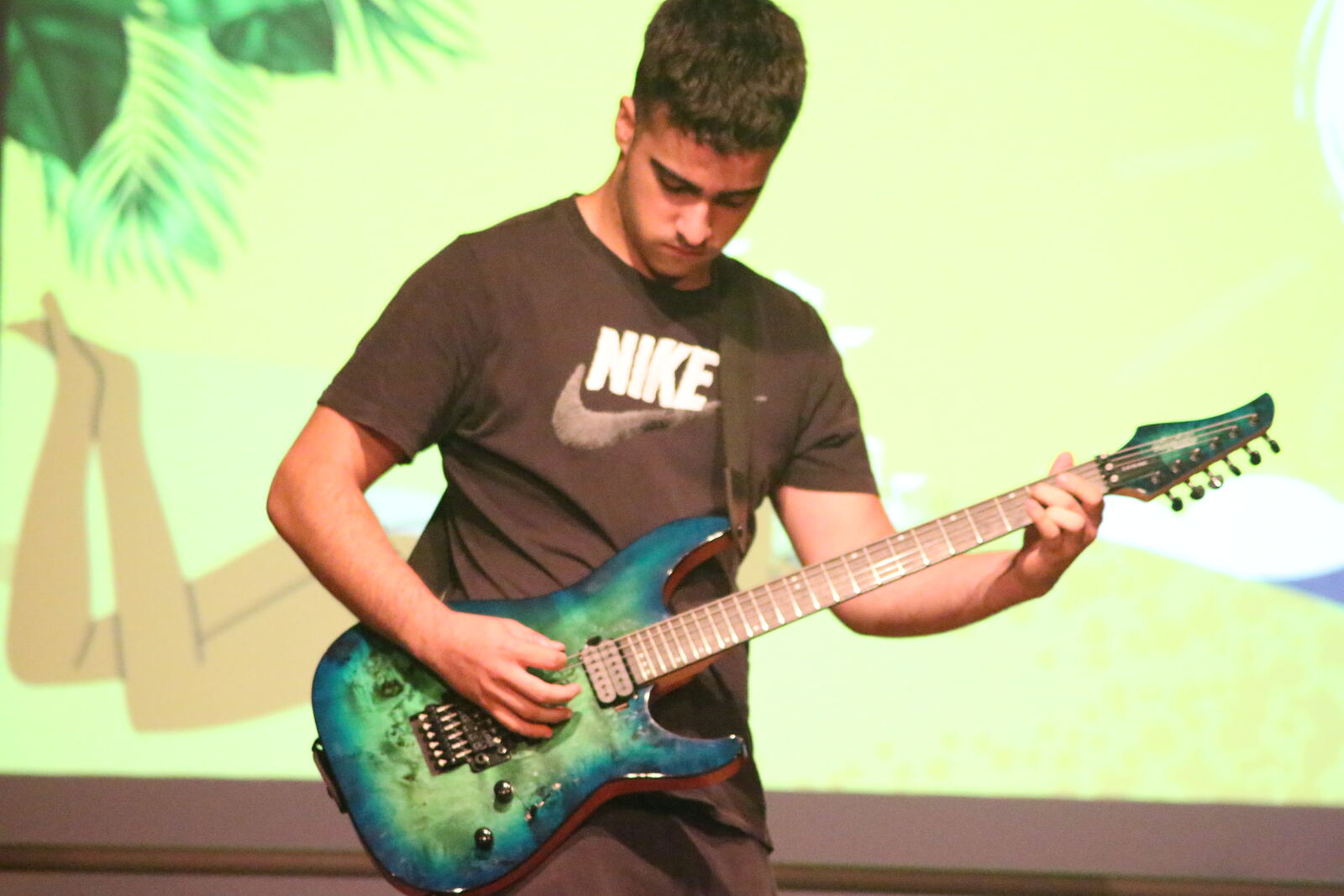 Imatge del concert