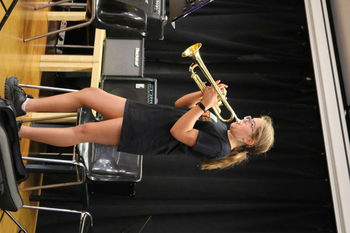 Imatge del concert