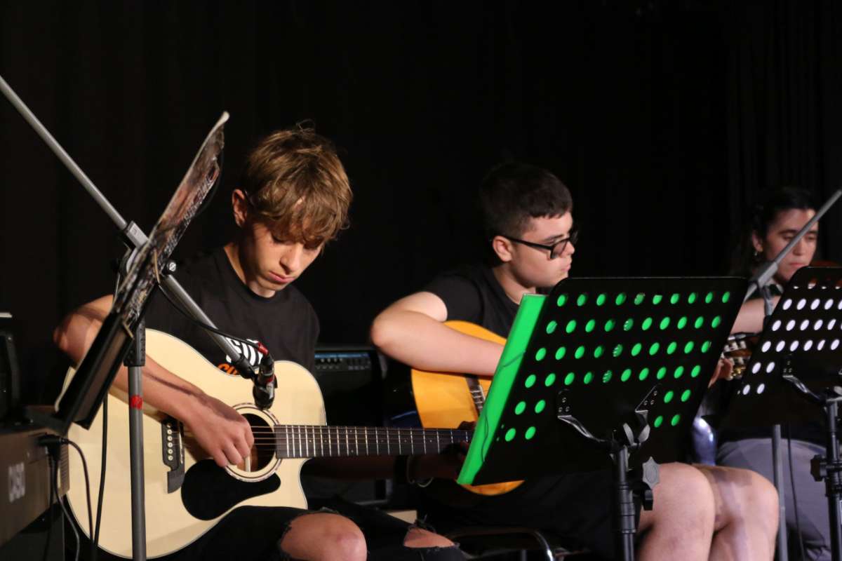 Imatge del concert