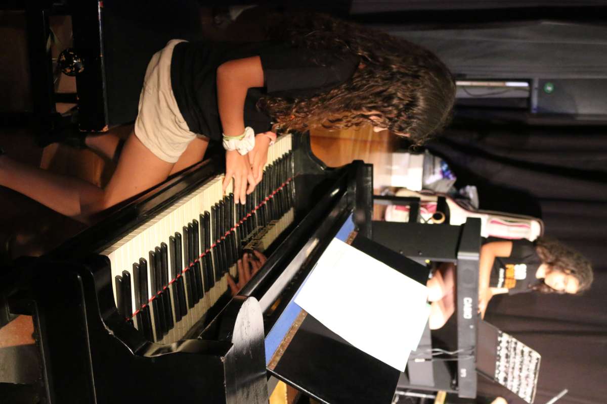 Imatge del concert