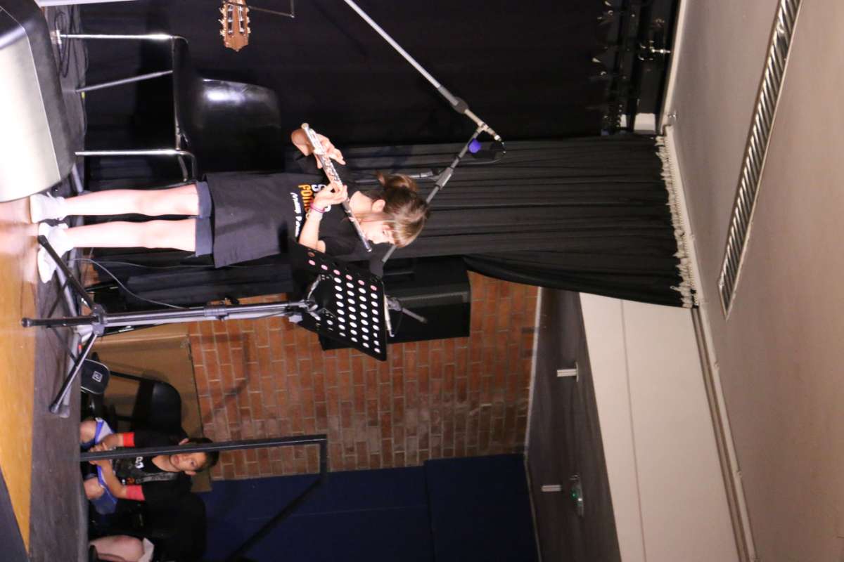 Imatge del concert
