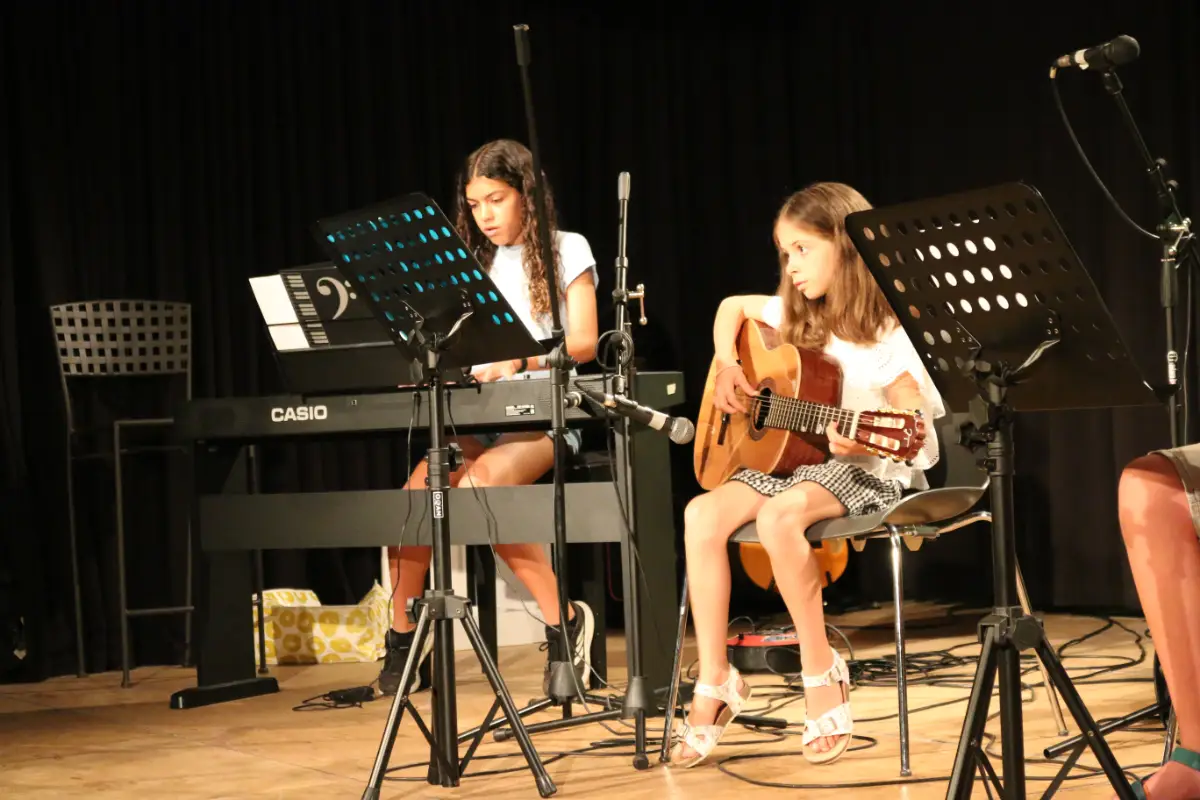 Imatge del concert