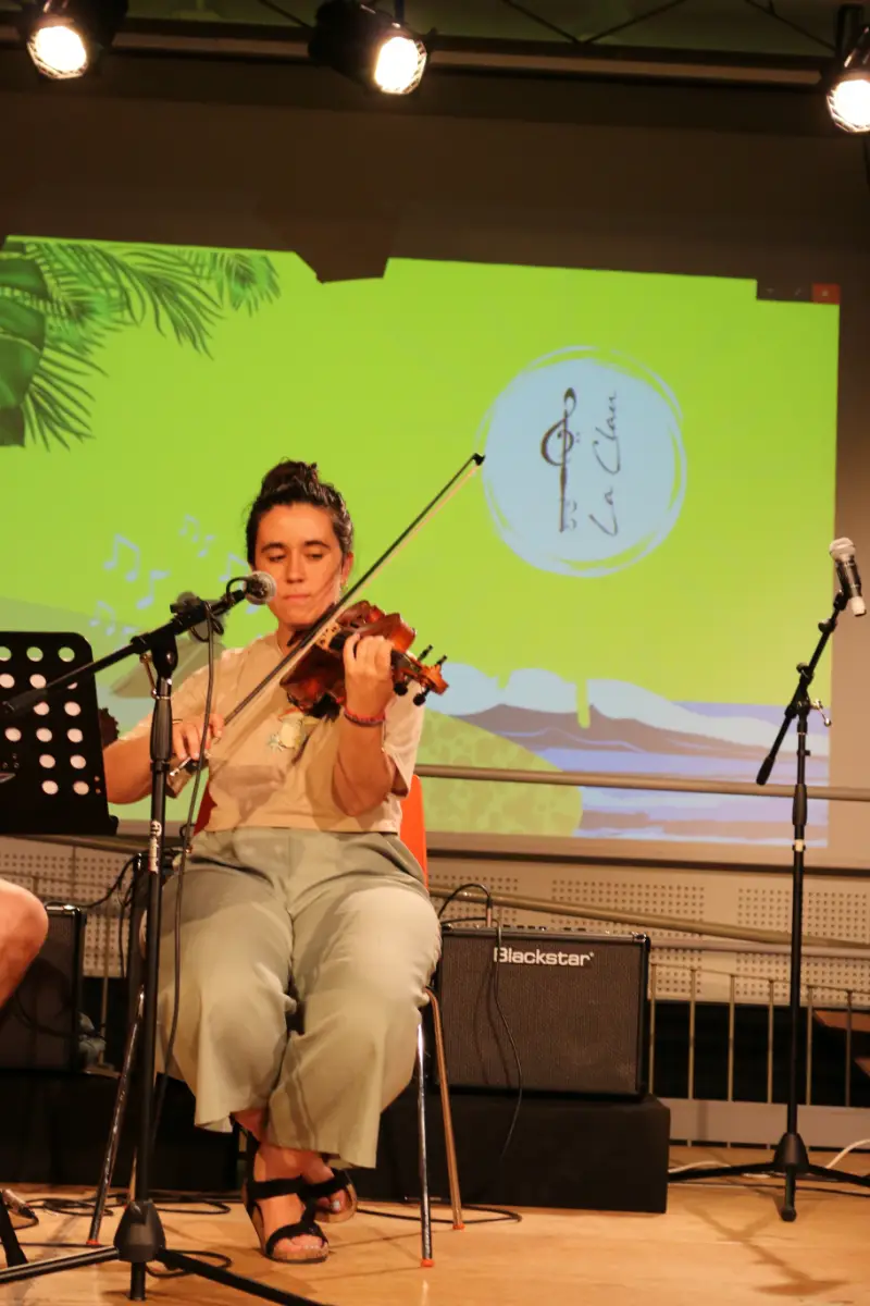 Imatge del concert