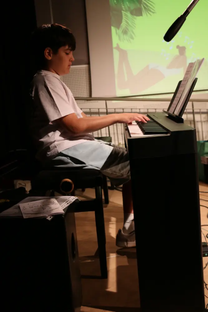 Imatge del concert