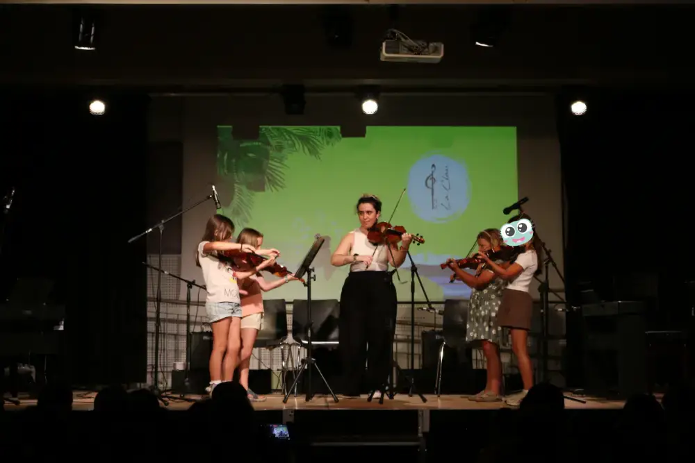 Imatge del concert