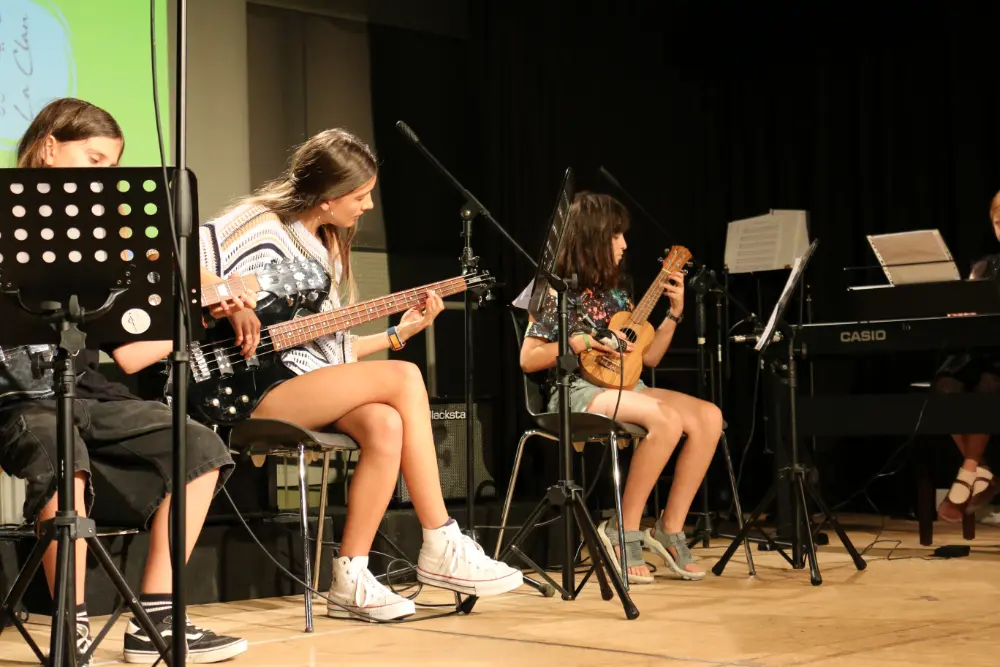 Imatge del concert