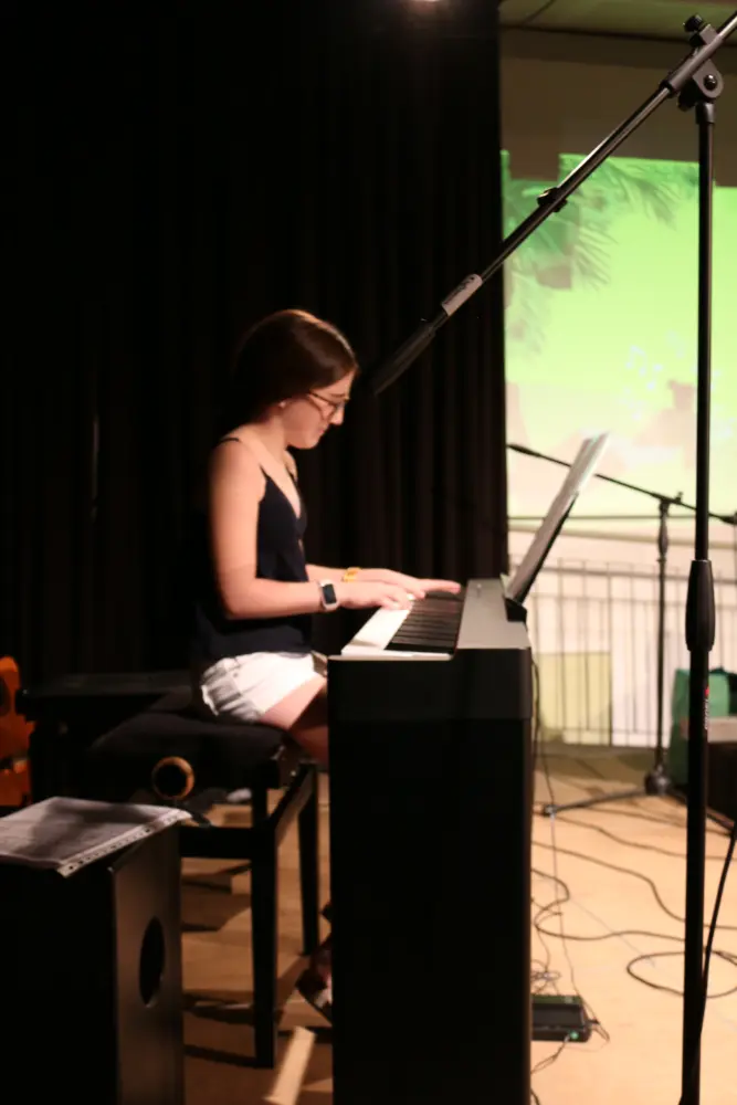 Imatge del concert