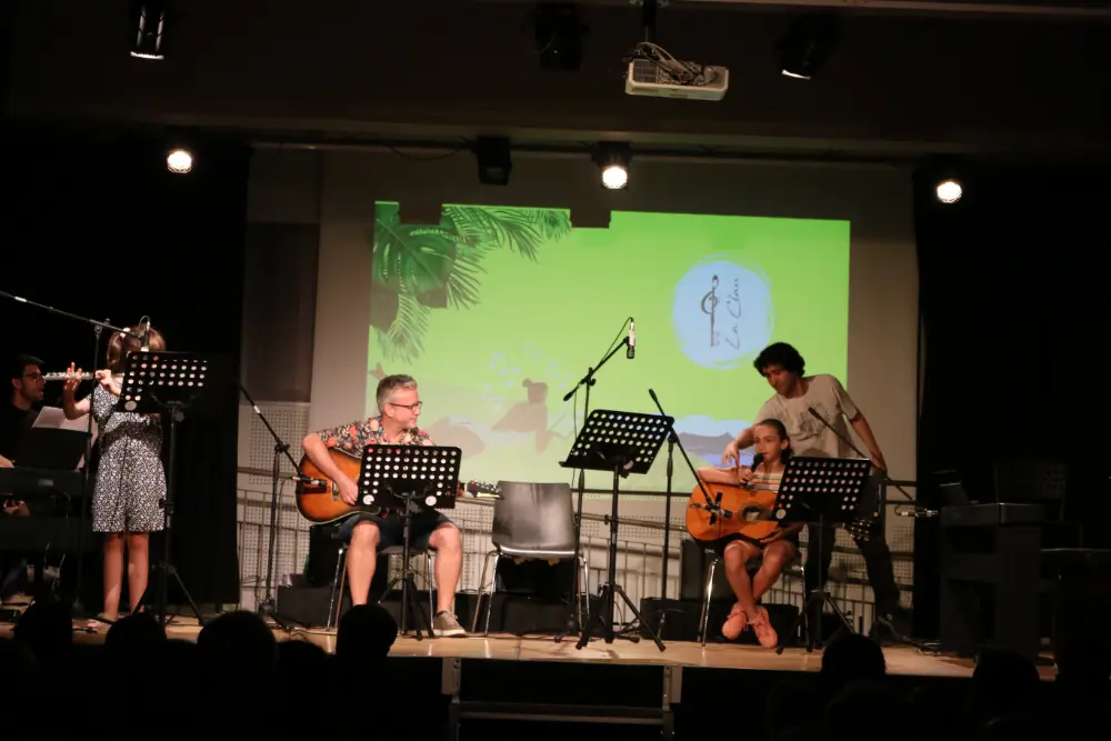 Imatge del concert