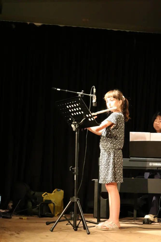 Imatge del concert
