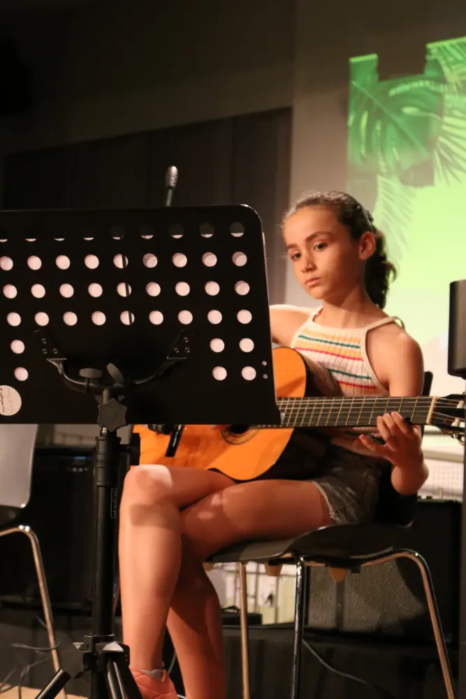 Imatge del concert