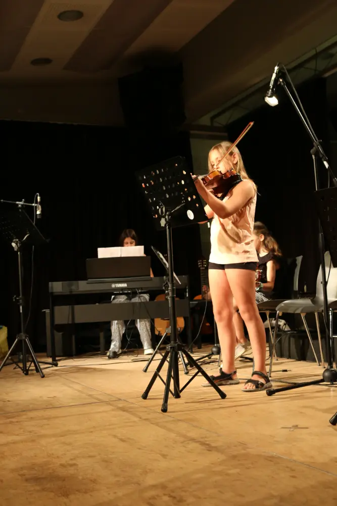 Imatge del concert