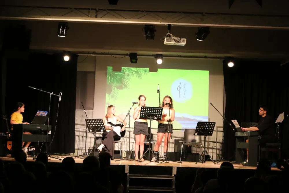 Imatge del concert