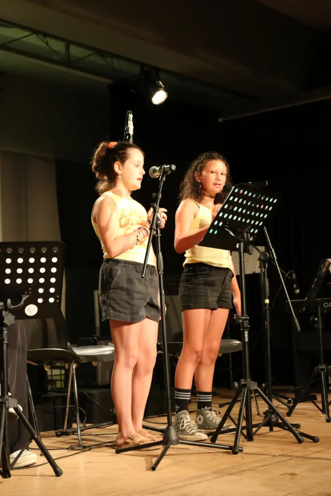 Imatge del concert