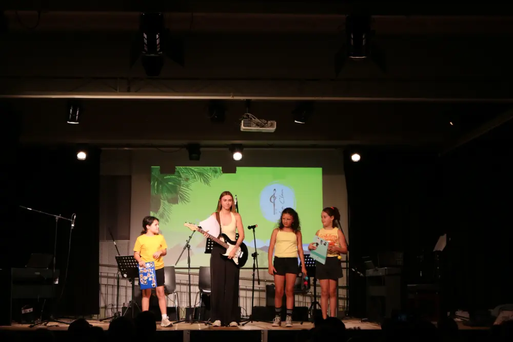 Imatge del concert
