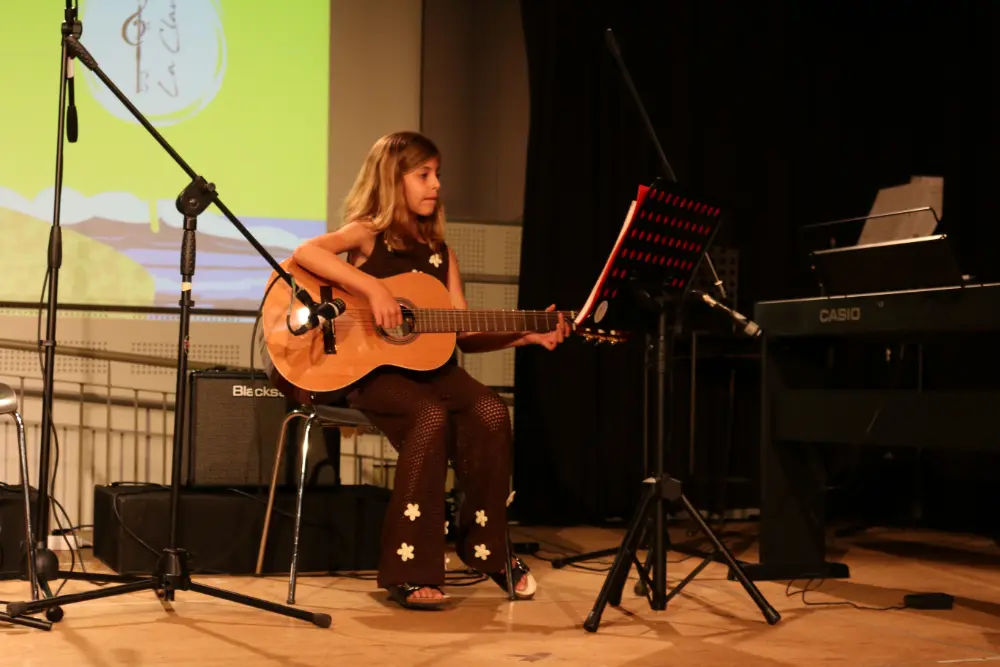 Imatge del concert