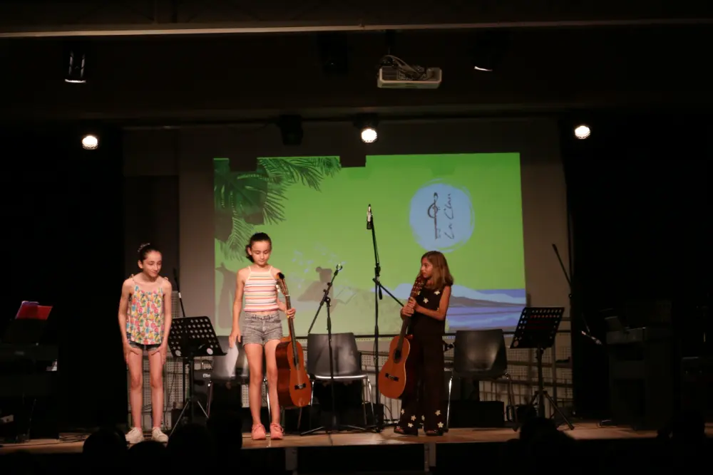Imatge del concert