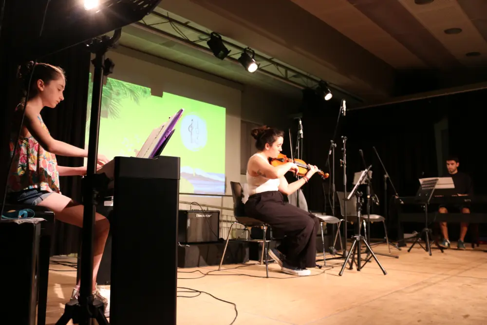 Imatge del concert