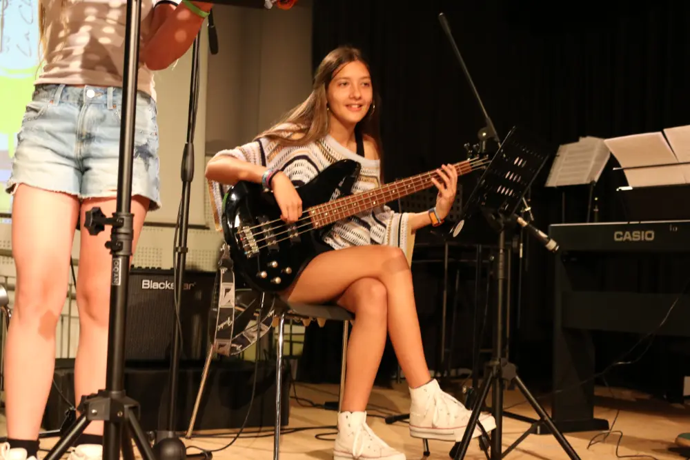 Imatge del concert