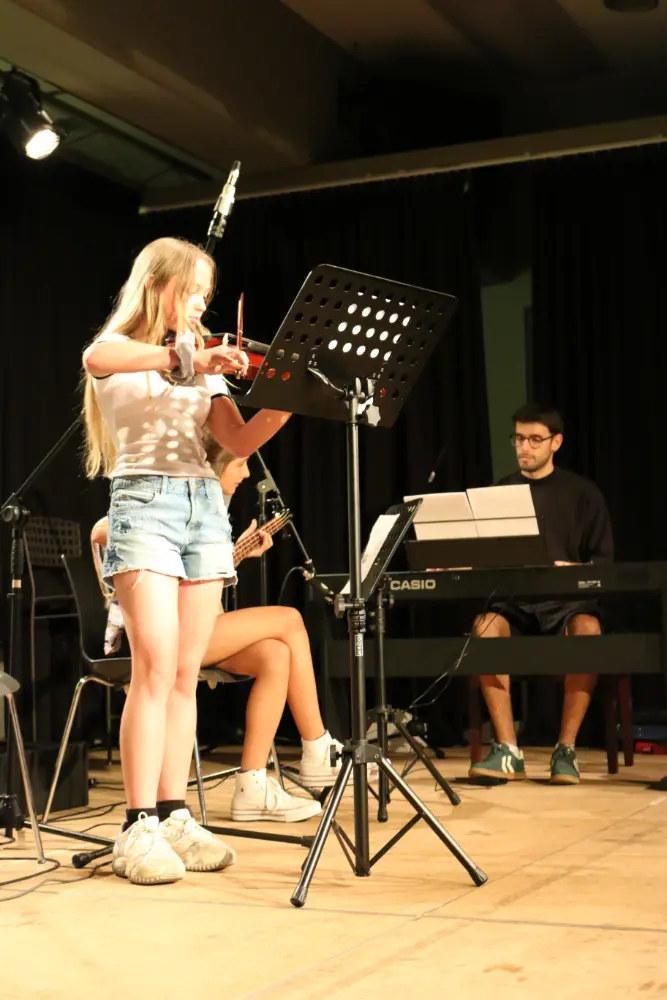 Imatge del concert