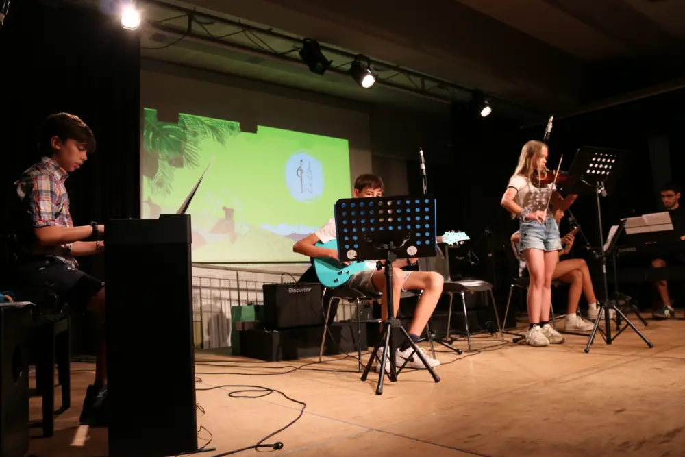 Imatge del concert
