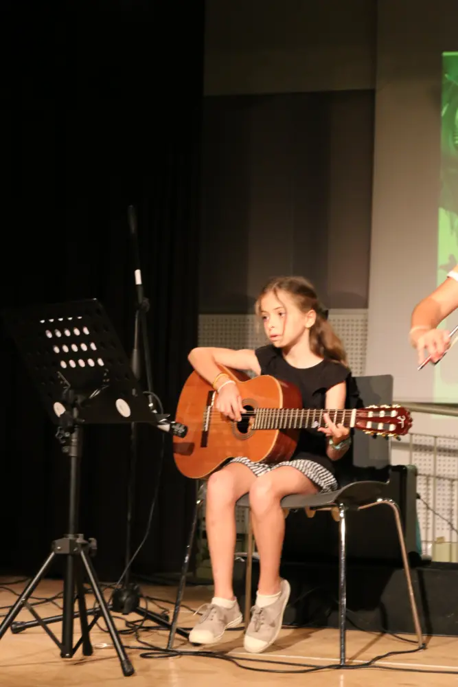 Imatge del concert