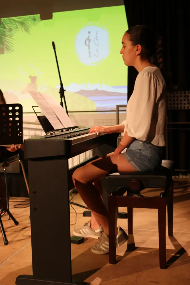 Imatge del concert