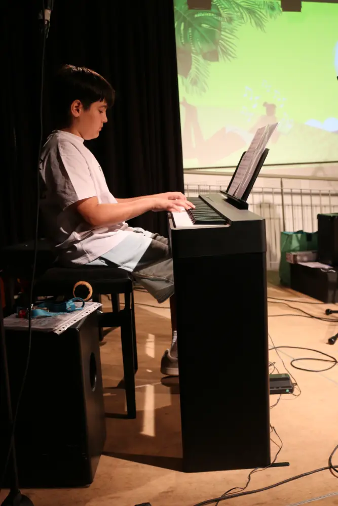 Imatge del concert