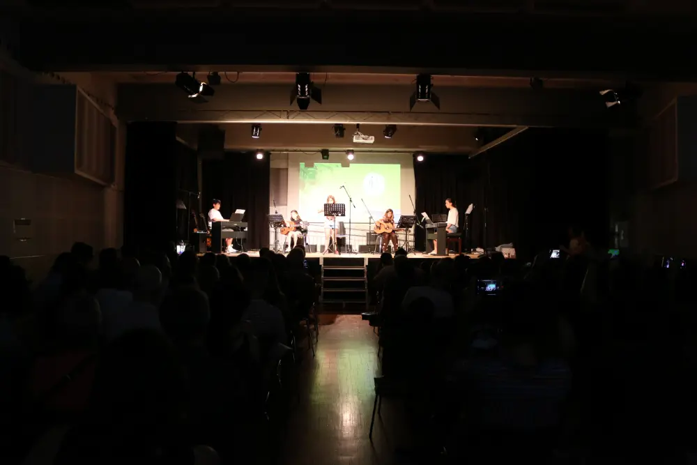 Imatge del concert