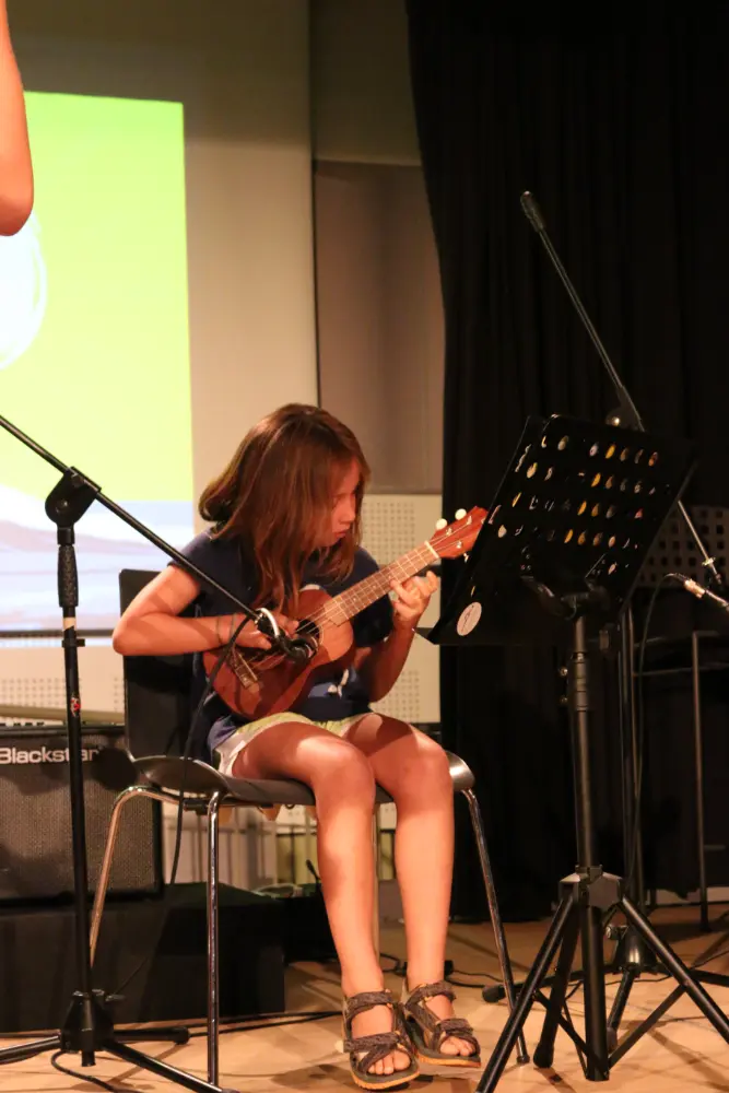 Imatge del concert