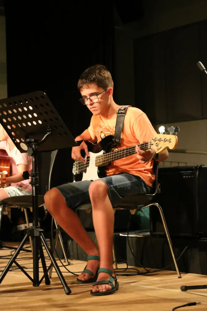 Imatge del concert