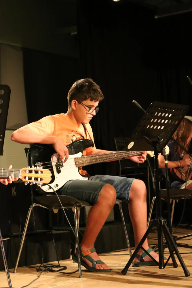 Imatge del concert