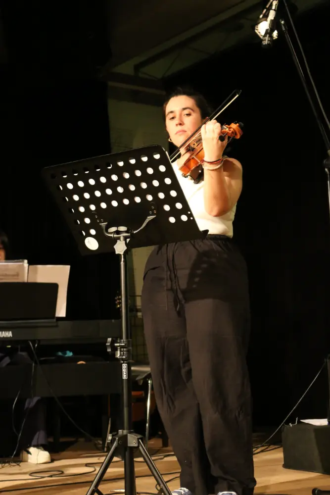 Imatge del concert