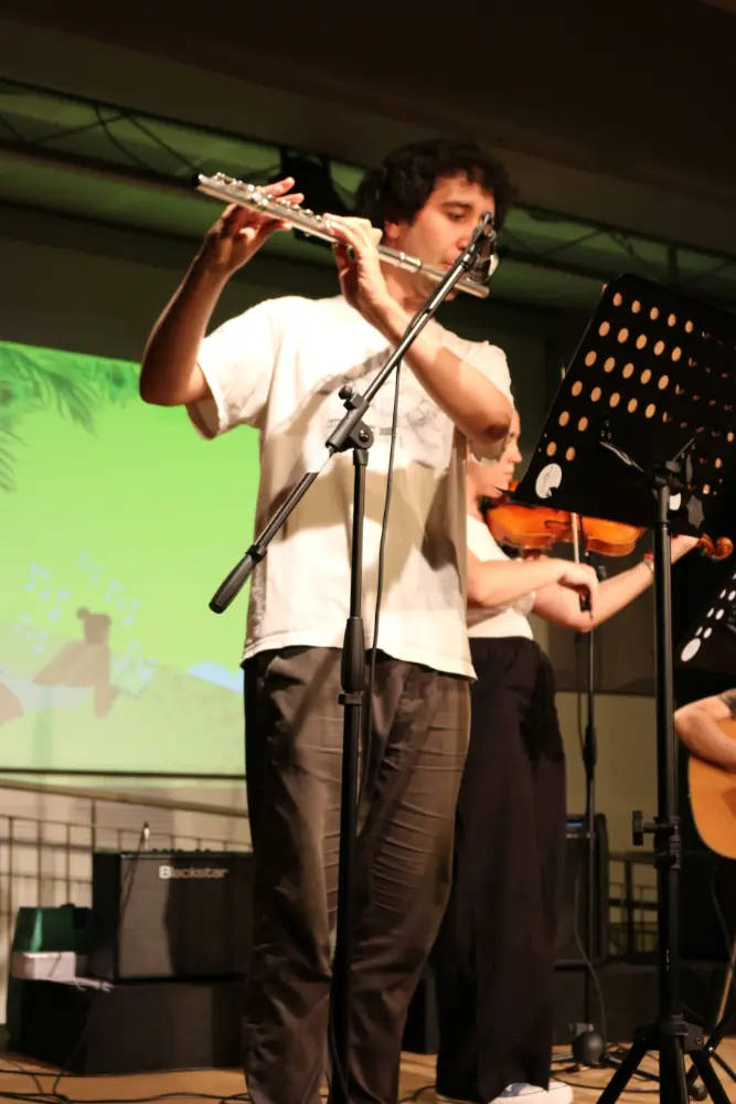 Imatge del concert
