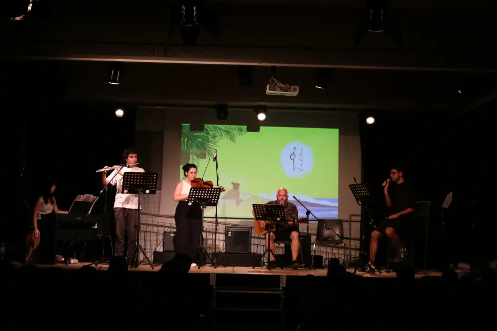 Imatge del concert