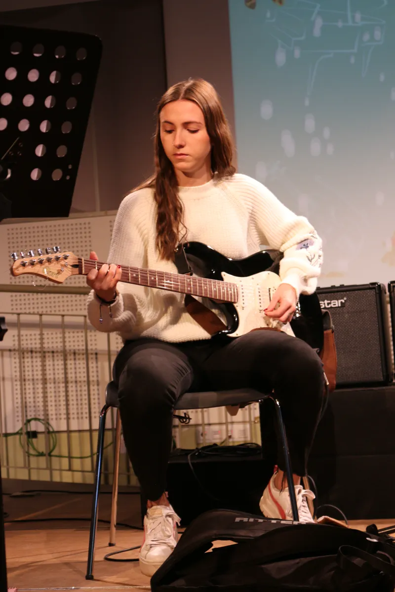 Imatge del concert