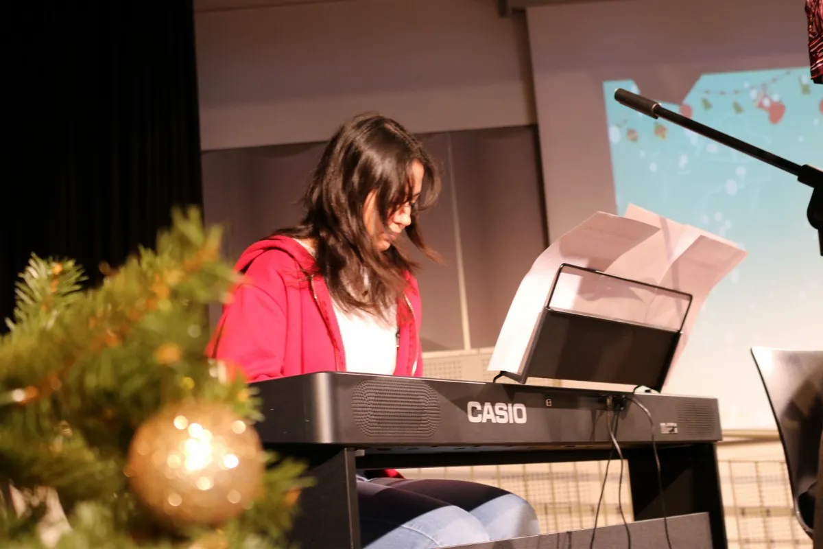 Imatge del concert