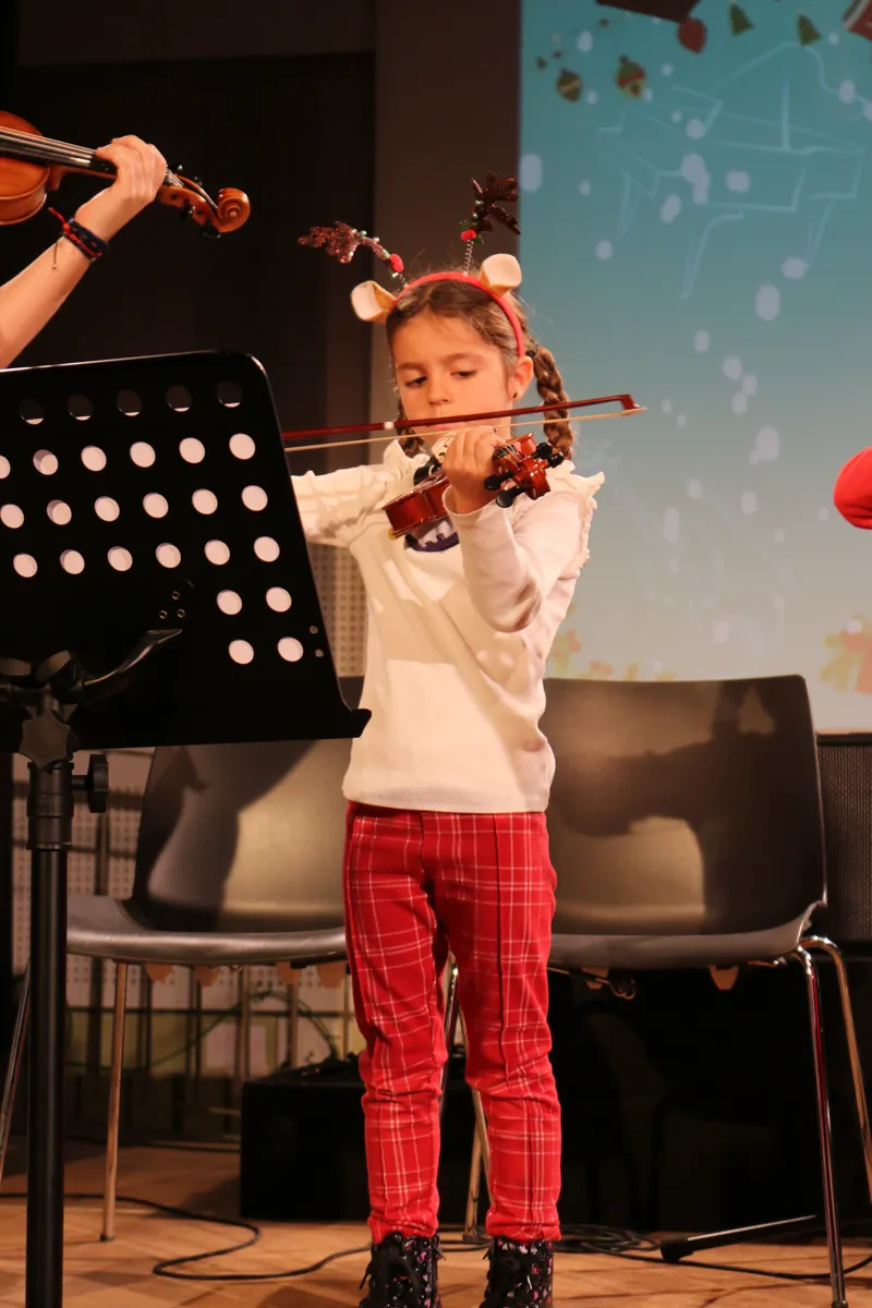 Imatge del concert
