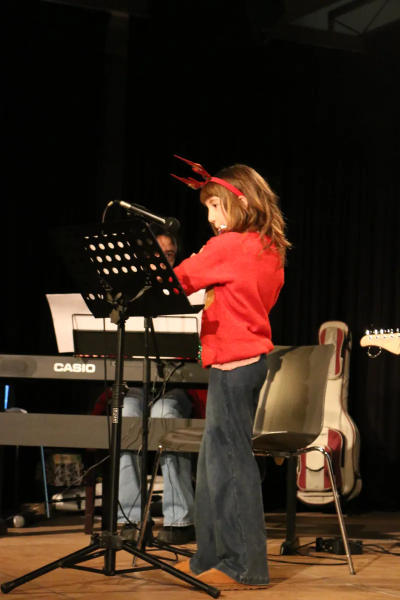 Imatge del concert