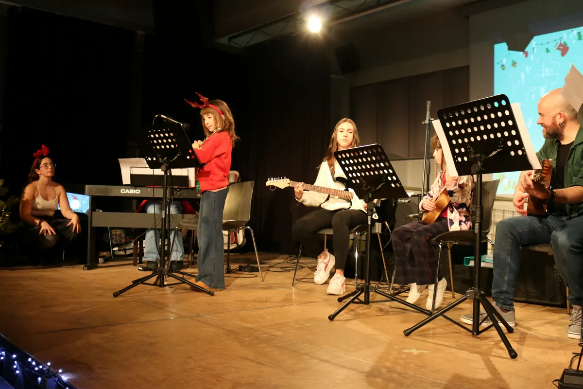 Imatge del concert